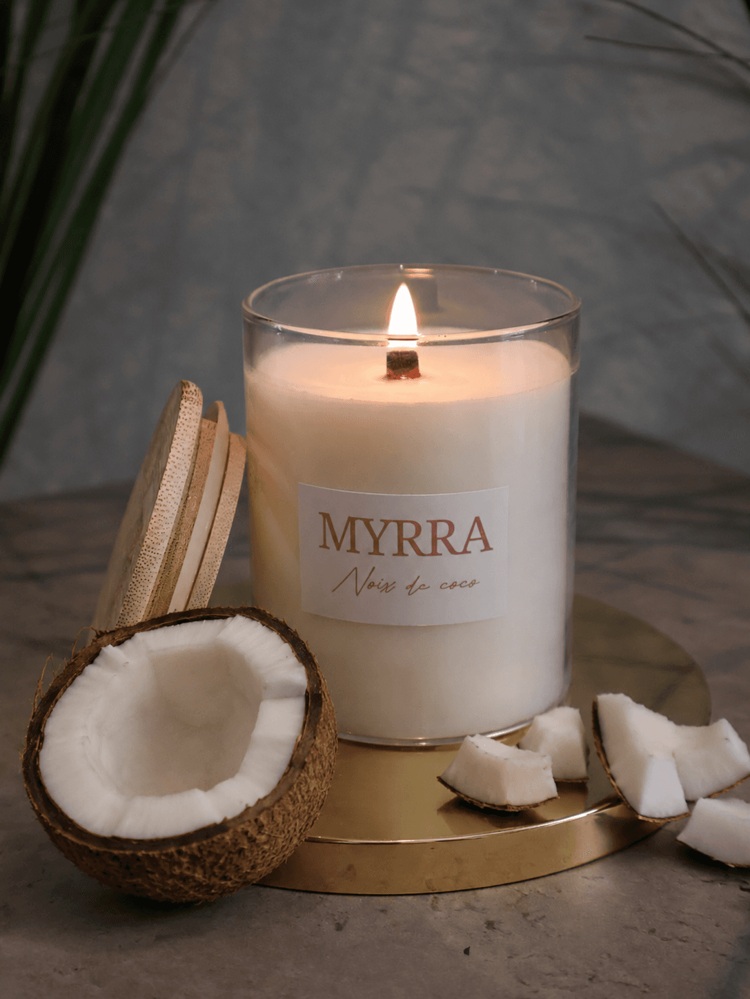 Noix de coco, Mèche en bois